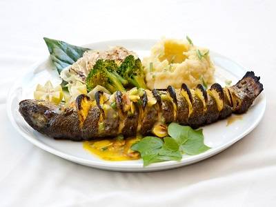 رستوران بین المللی کاسه